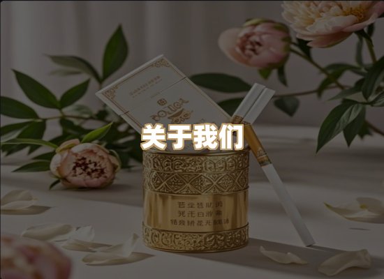 关于蓝帝网